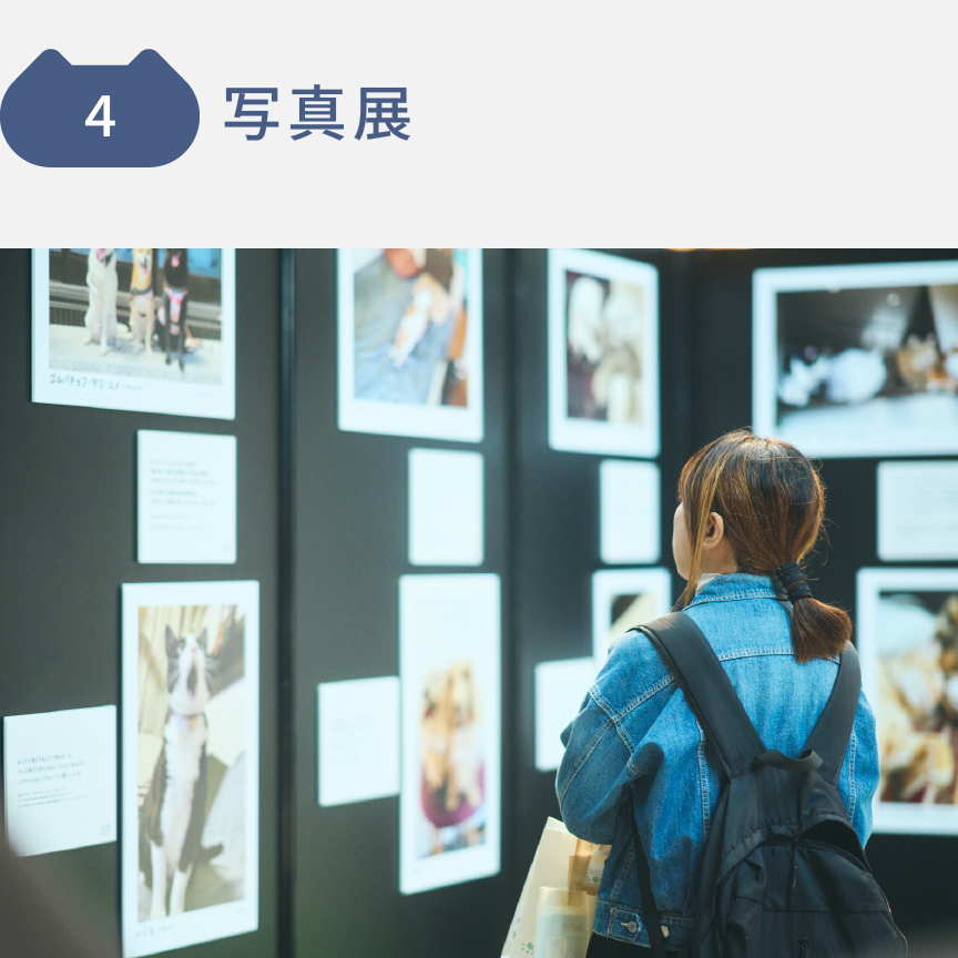 4 写真展　写真展の様子です。
