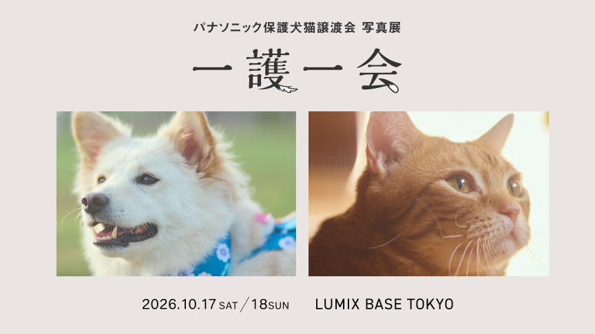 パナソニック保護犬猫譲渡会 写真展 「一護一会」。2026/10/17(土) ～10/18(日) 、LUMIX BASE TOKYO