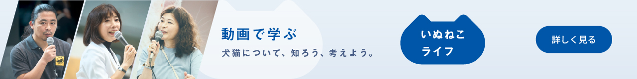 学びコンテンツのバナーです。