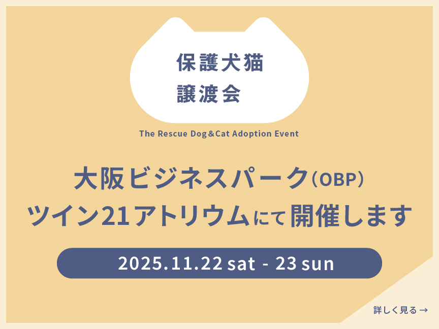 保護犬猫譲渡会。2025/11/22(土) ～11/23(日) 、大阪ビジネスパーク（OBP）ツイン21アトリウム