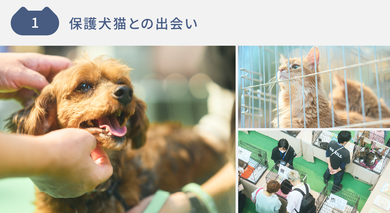 1 保護犬猫との出会い　譲渡会コーナーの様子です。