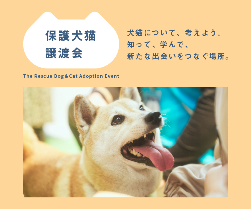 パナソニック保護犬猫譲渡会のメインビジュアルです。犬が写っています。犬猫について、考えよう。知って、学んで、新たな出会いをつなぐ場所。