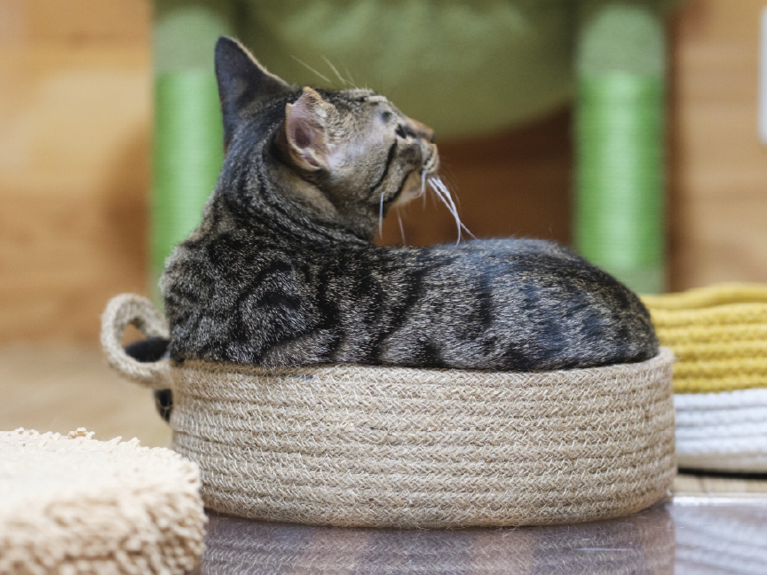 「SUNMAC LTD.」の販売商品です。