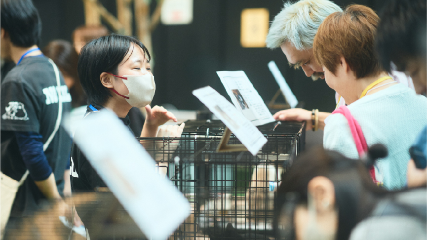 動物保護団体のスタッフと来場者が話している写真です