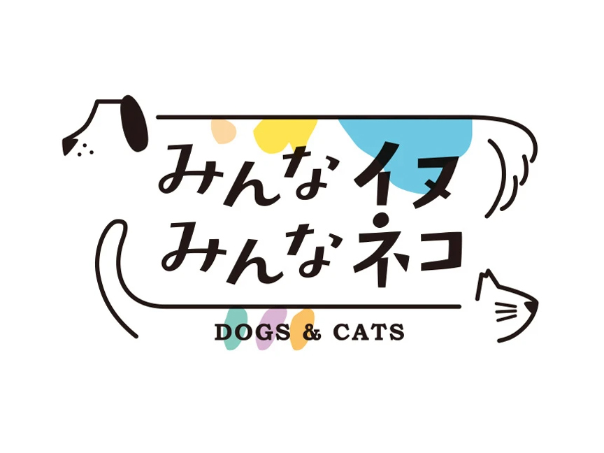 写真展のイメージ画像です。