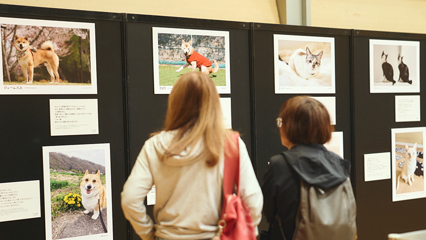 写真展の様子です。