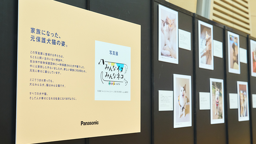 写真展の様子です。