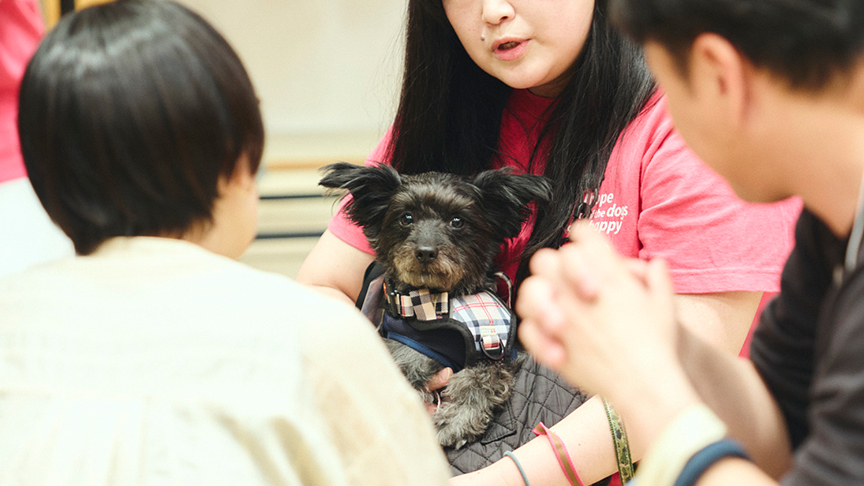 来場者が動物保護団体のスタッフに相談をしている写真です