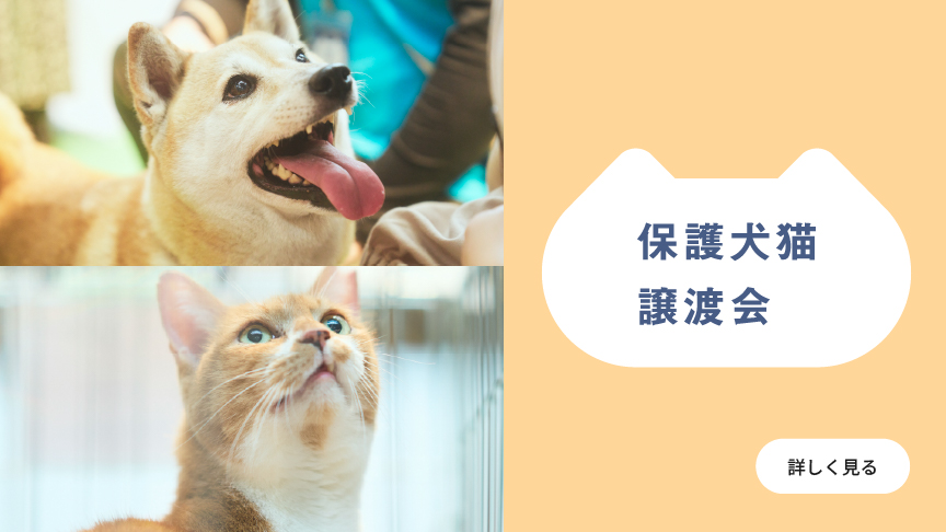 パナソニック保護犬猫譲渡会ページのバナーです。
