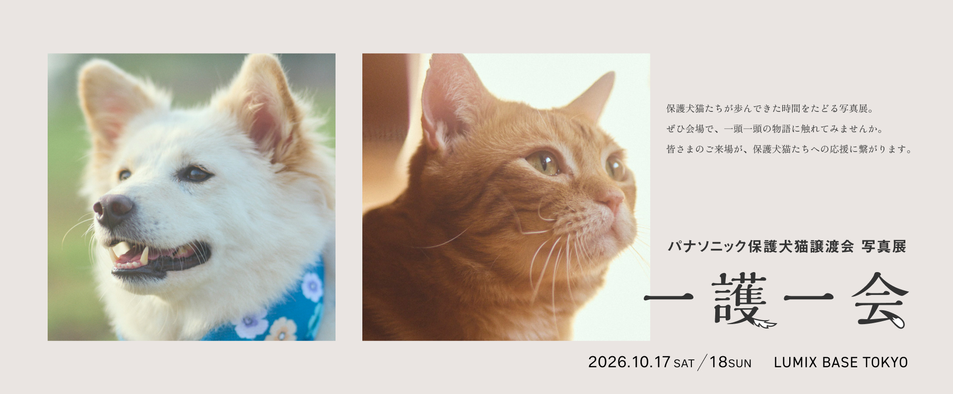 パナソニック保護犬猫譲渡会 写真展 「一護一会」。2026/10/17(土) ～10/18(日) 、LUMIX BASE TOKYO