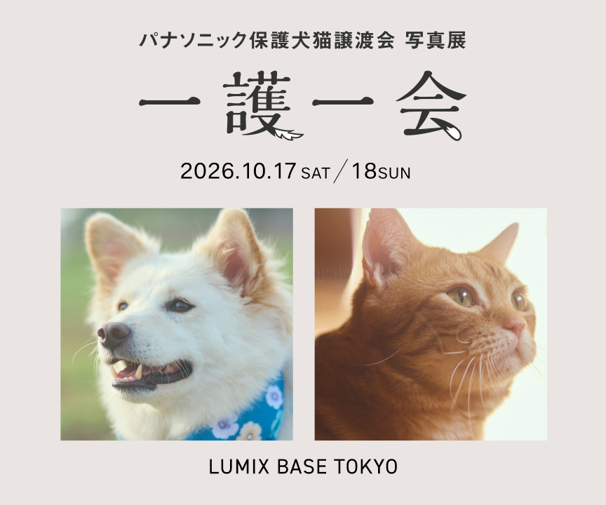 パナソニック保護犬猫譲渡会 写真展 「一護一会」。2026/10/17(土) ～10/18(日) 、LUMIX BASE TOKYO
