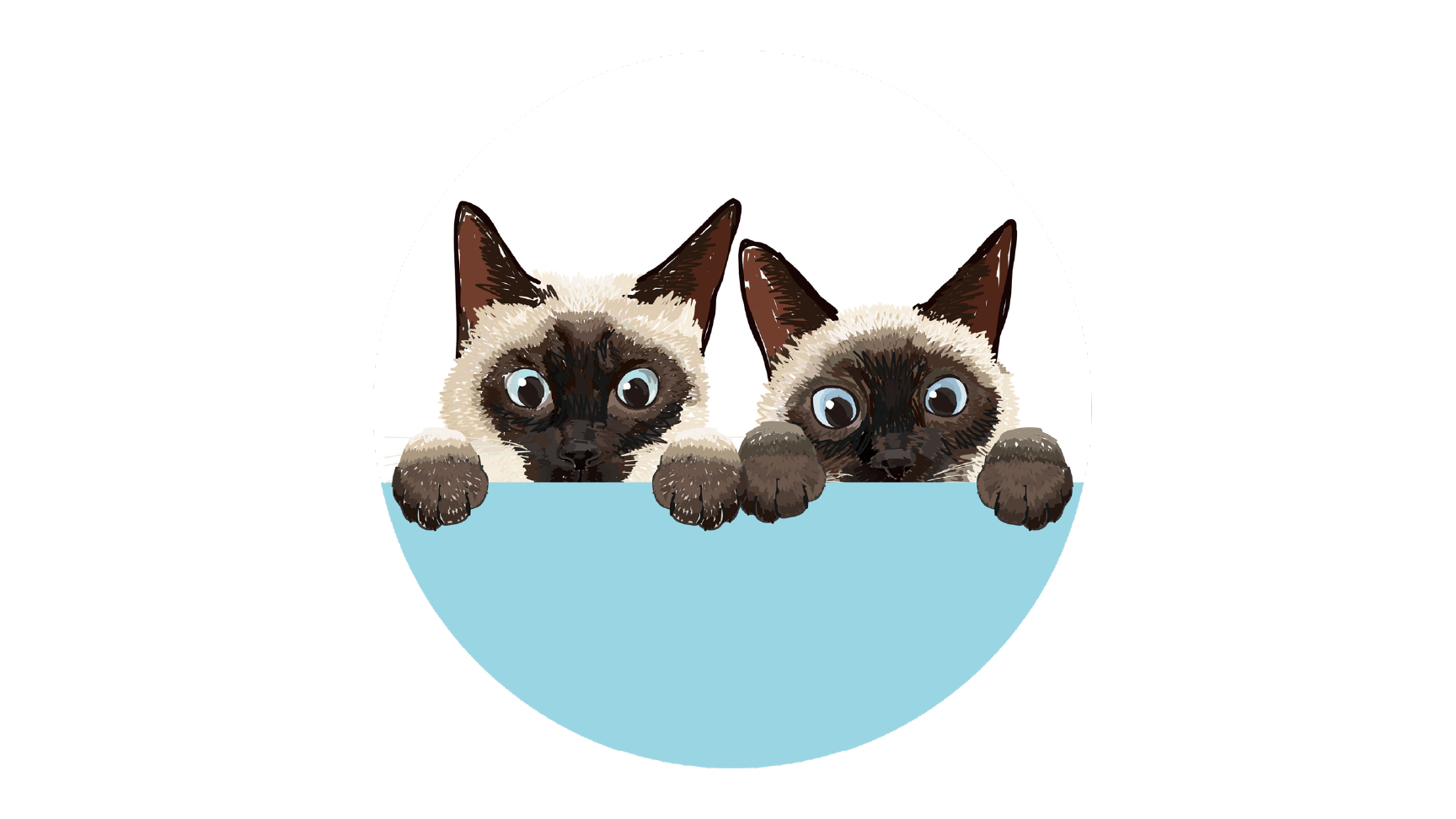 Coony（クーニー）さんのプロフィール画像です。