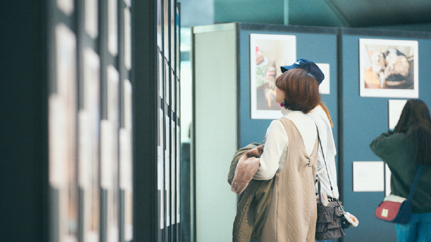 写真展の様子です。