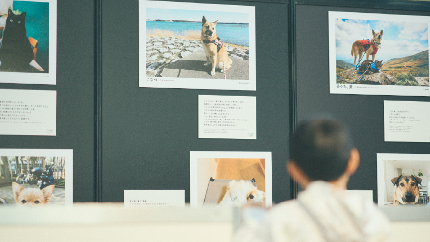 写真展の様子です。