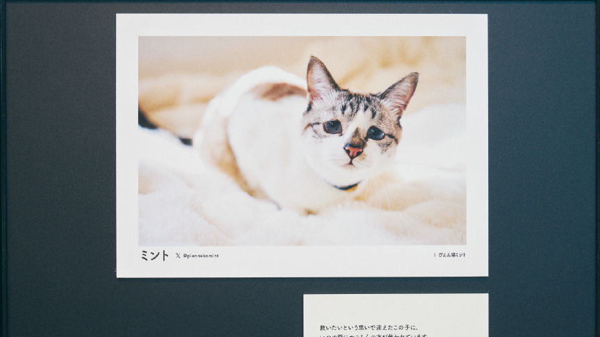 写真展の様子です。