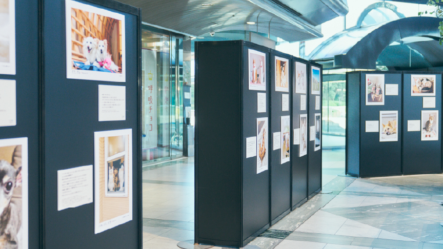 写真展の様子です。