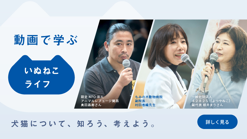 学びコンテンツのバナーです。