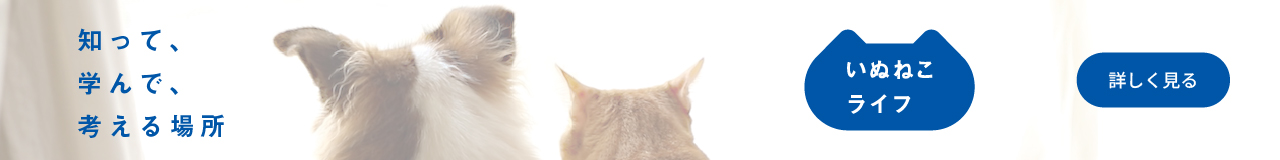 いぬねこライフTOPページのバナーです。