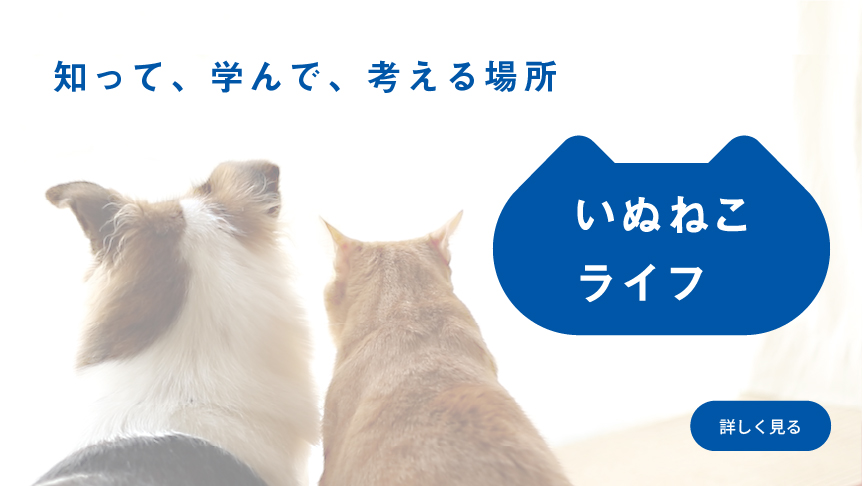 いぬねこライフTOPページのバナーです。