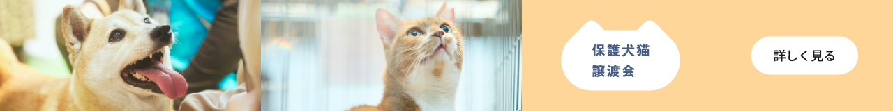 パナソニック 保護犬猫譲渡会ページのバナーです。