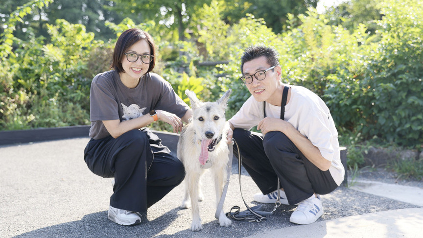 ハルくんのお迎え記事のバナー画像です。