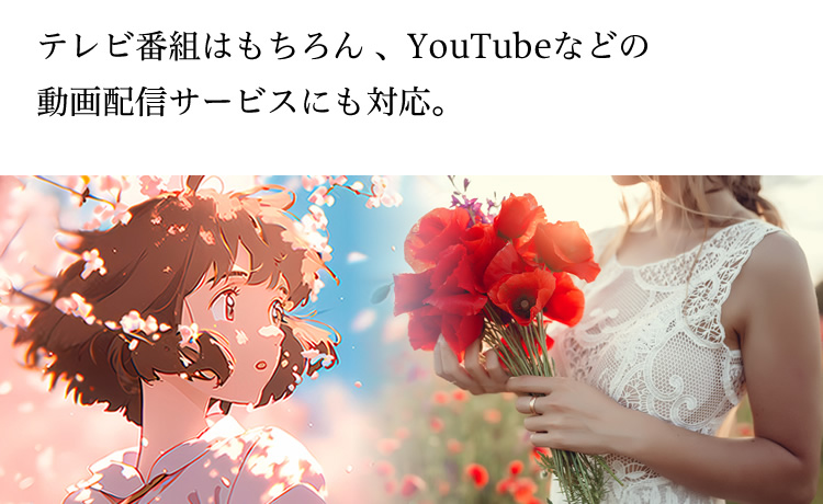テレビ番組はもちろん、 YouTubeなどの動画配信サービスにも対応。