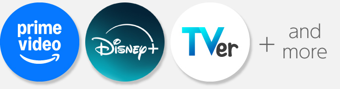 Fire TVシリーズ・Chromecastと接続できる