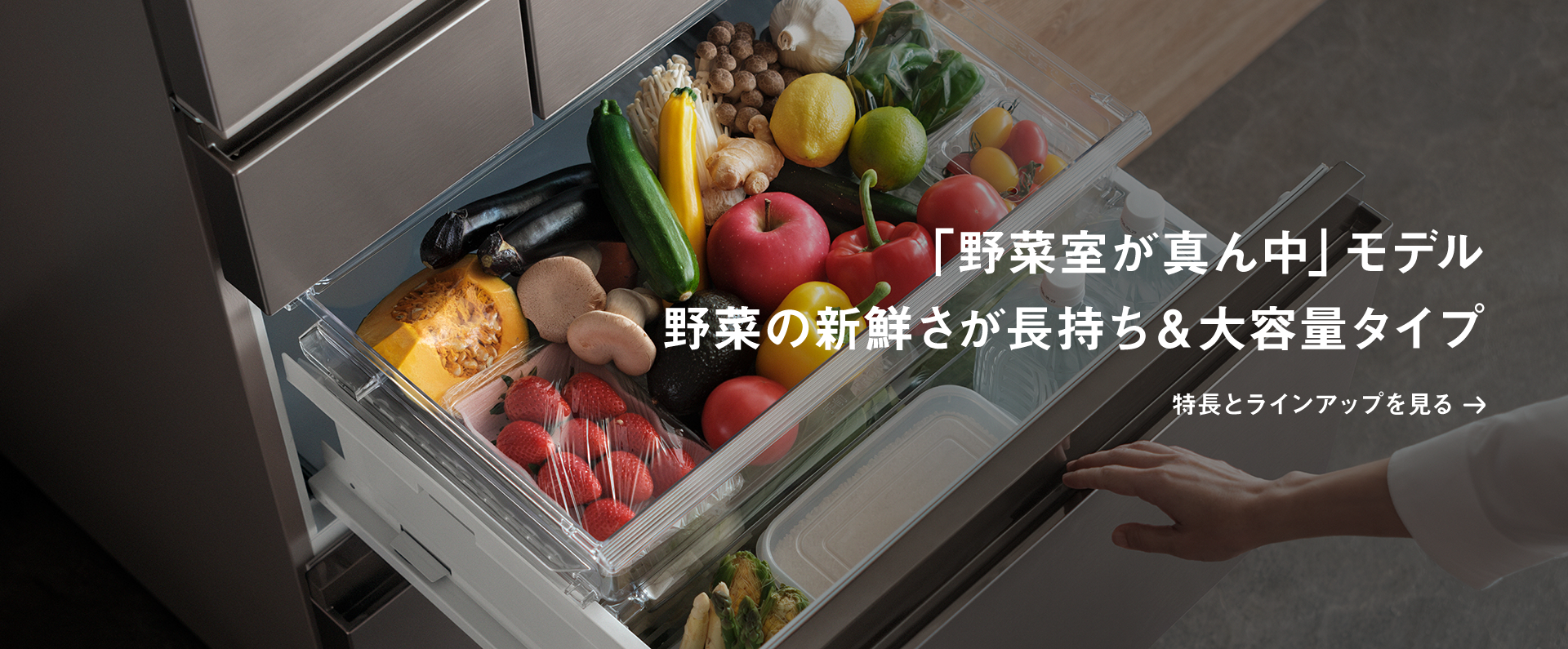 「野菜室が真ん中」モデル 野菜の新鮮さが長持ち＆大容量タイプ
