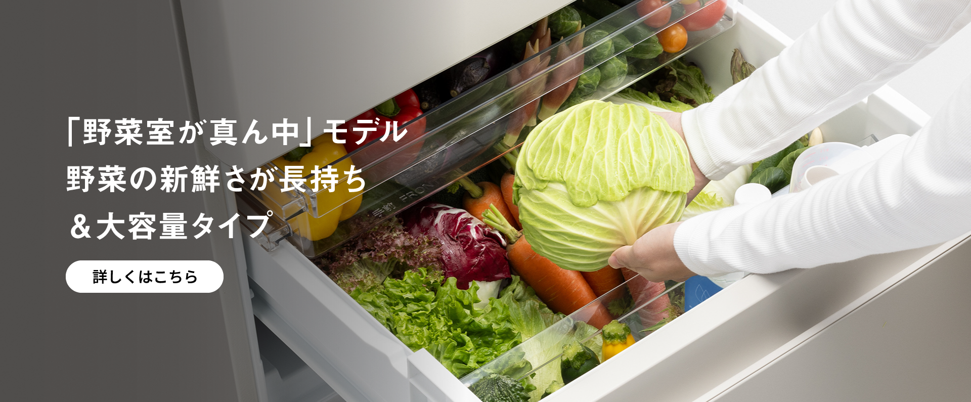 「野菜室が真ん中」モデル 野菜の新鮮さが長持ち＆大容量タイプ