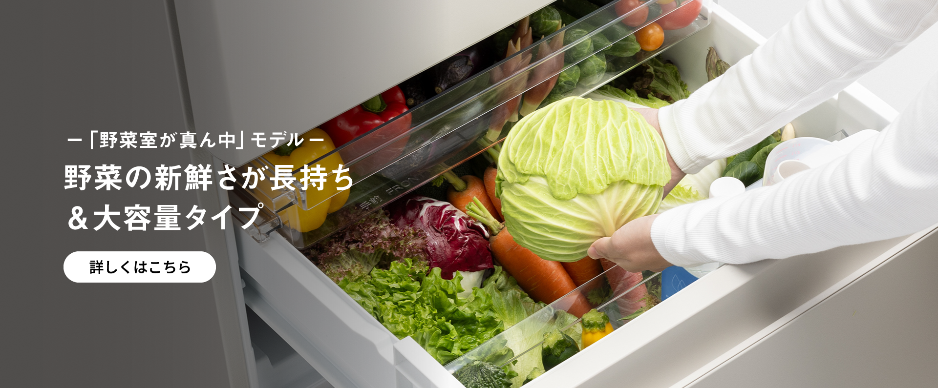 「野菜室が真ん中」モデル 野菜の新鮮さが長持ち＆大容量タイプ