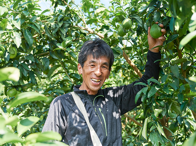 こだわりのグリーンレモンを「はやうま冷凍」