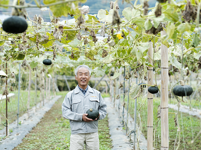 こだわりの甲州天空かぼちゃを「はやうま冷凍」