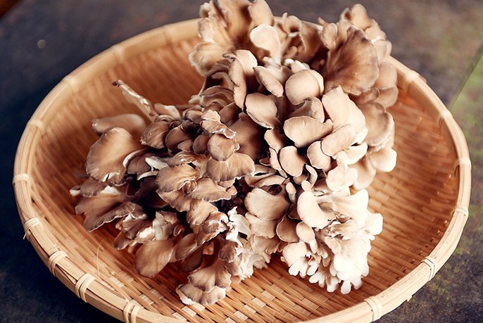 写真：まいたけ