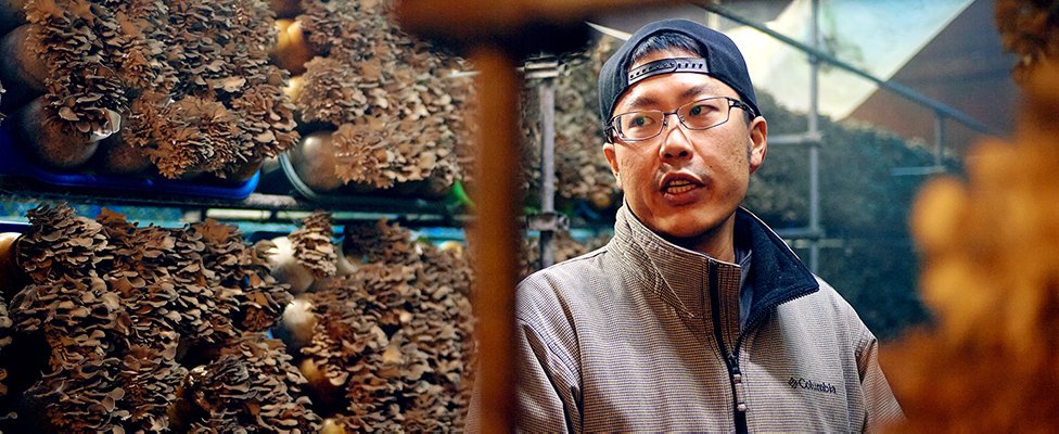 写真：渡邊海さん