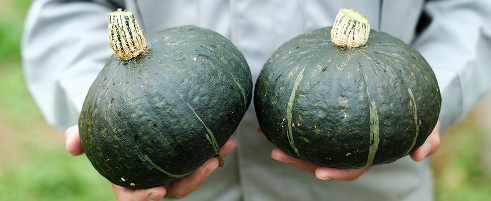 写真：かぼちゃ