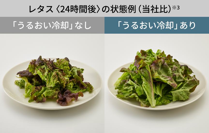 画像：レタス＜24時間後＞の状態例（当社比）。うるおい冷却なしとありの比較イメージ