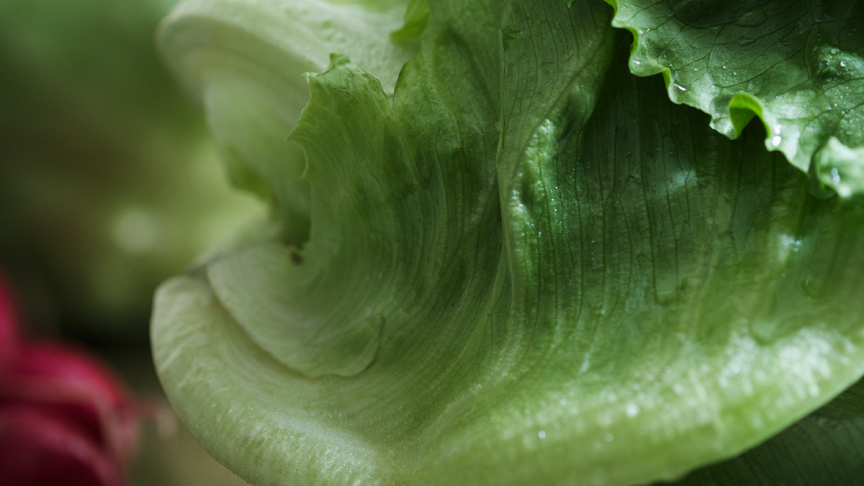 Wシャキシャキ野菜室プラス