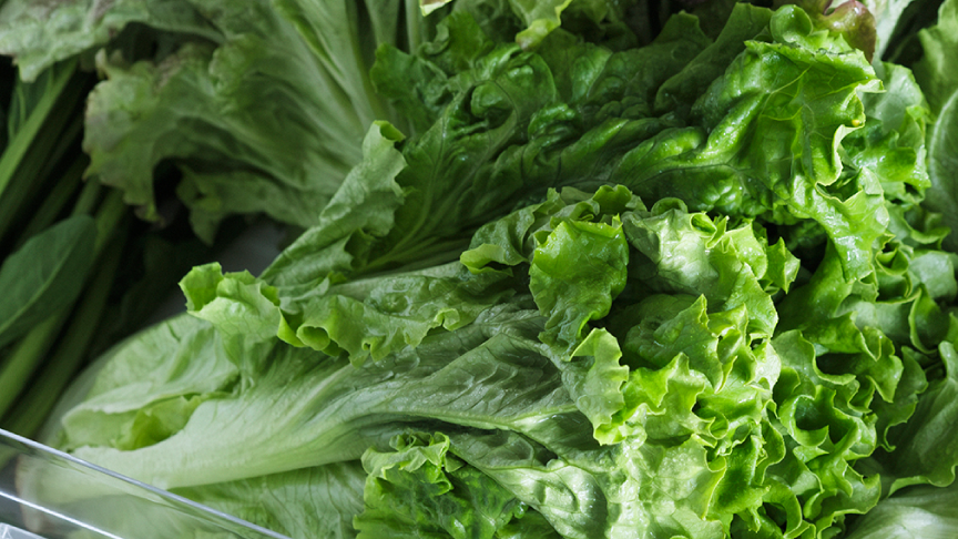 Wシャキシャキ野菜室