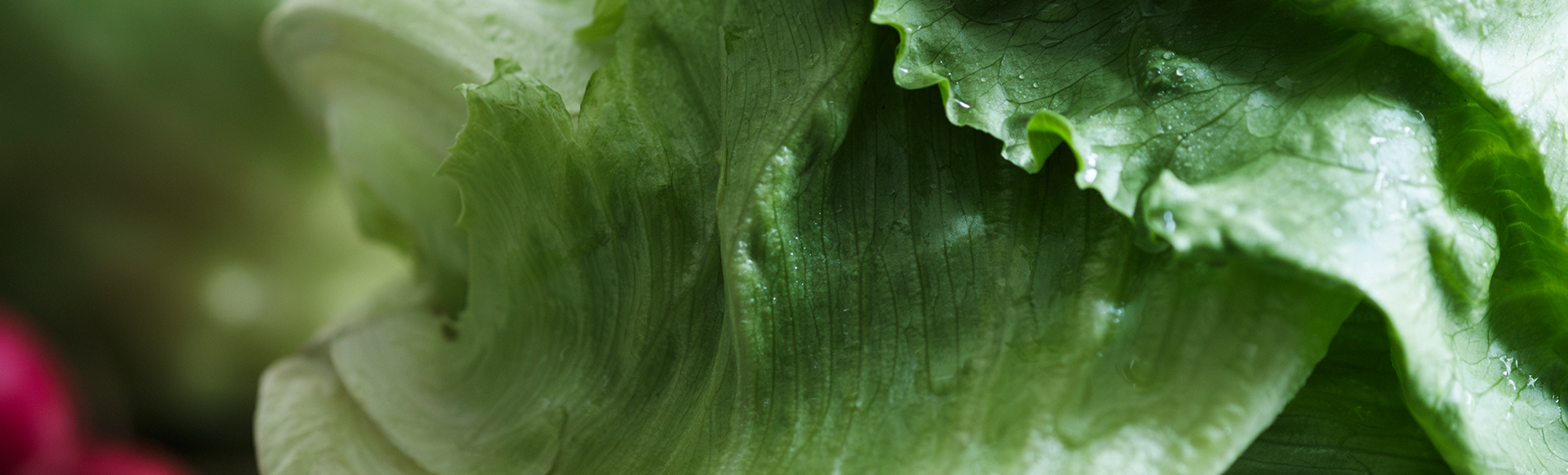 野菜室が真ん中・Wシャキシャキ野菜室プラス