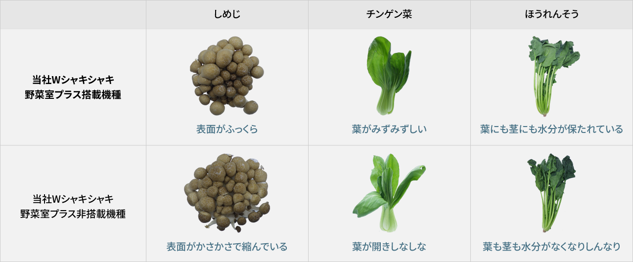 Wシャキシャキ野菜室プラス搭載機種はしめじの表面がふっくら、チンゲン菜の葉がみずみずしい、ほうれんそうの葉にも茎にも水分が保たれているがWシャキシャキ野菜室プラス非搭載機種はしめじの表面がかさかさで縮んでいる、チンゲン菜の葉が開きしなしな、ほうれんそうの葉も茎も水分がなくなりしんなりしている