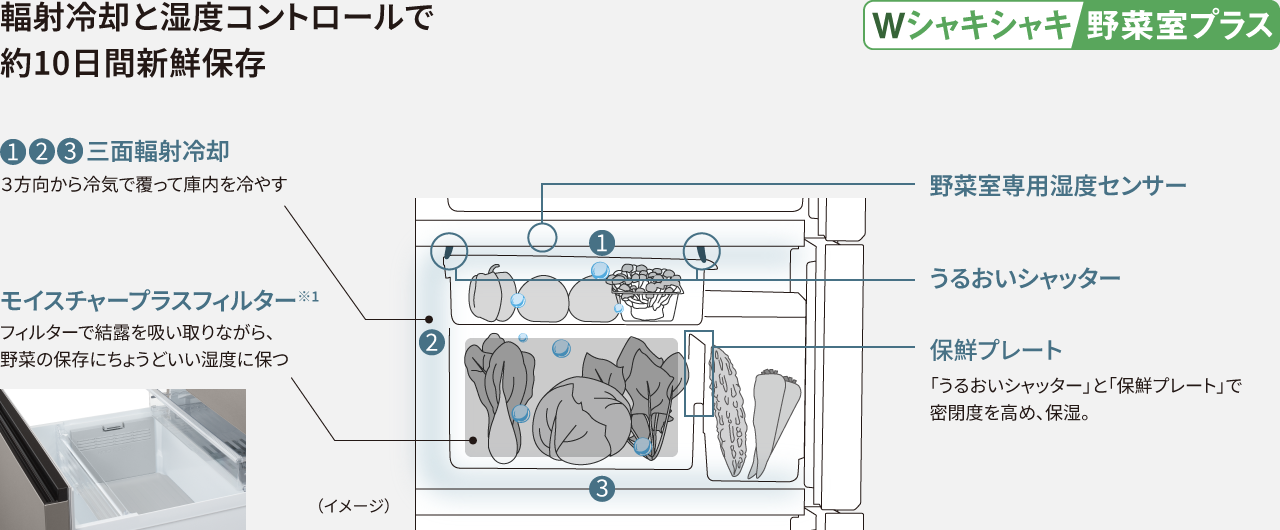 輻射冷却と湿度コントロールで約10日間新鮮保存