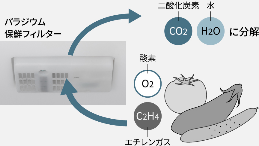 画像：バラジウム保鮮フィルターがエチレンガスと酸素を吸収し二酸化炭素と水に分解