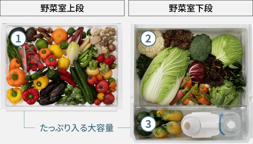 画像：①野菜室上段には実野菜の保存、②野菜室下段には葉野菜の保存、③野菜室下段のボトルコーナーにペットボトル、米びつを保存：Wシャキシャキ野菜室プラス