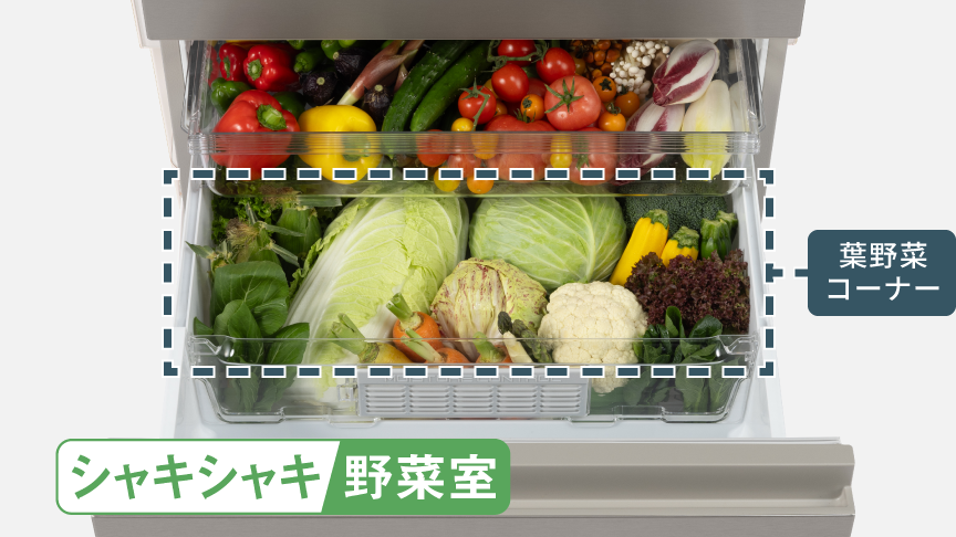 野菜室を引き出したイメージ