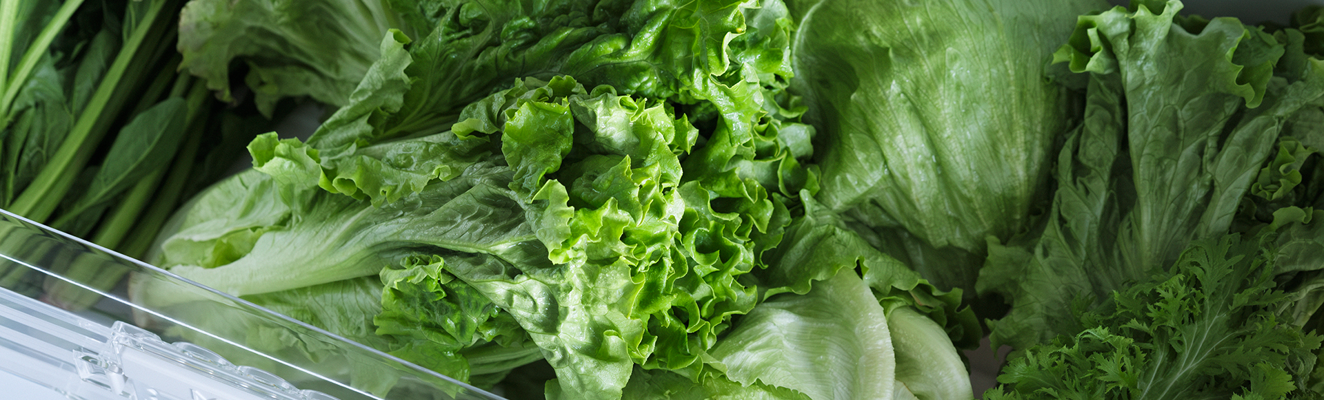 Wシャキシャキ野菜室