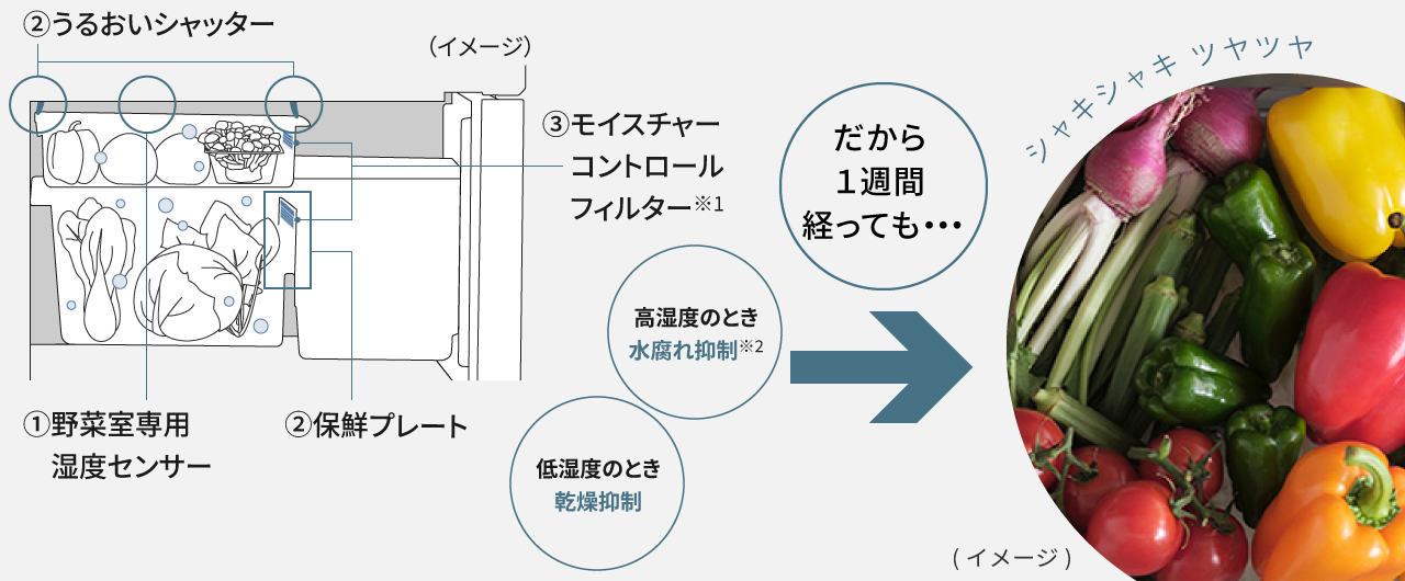高湿度のとき水腐れ抑制、低湿度のとき乾燥抑制、だから一週間経っても野菜がシャキシャキツヤツヤ