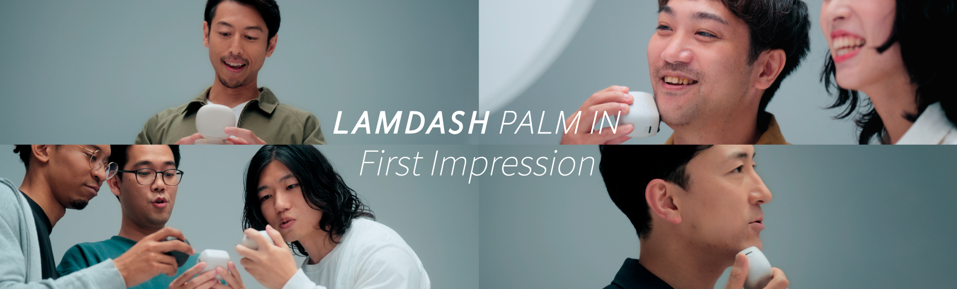 LAMDASH PALM IN First Impression