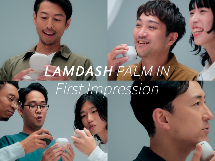 LAMDASH PALM IN First Impression