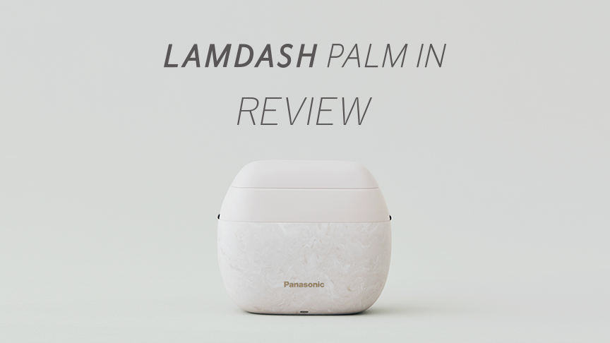 LAMDASH PALM IN REVIEW