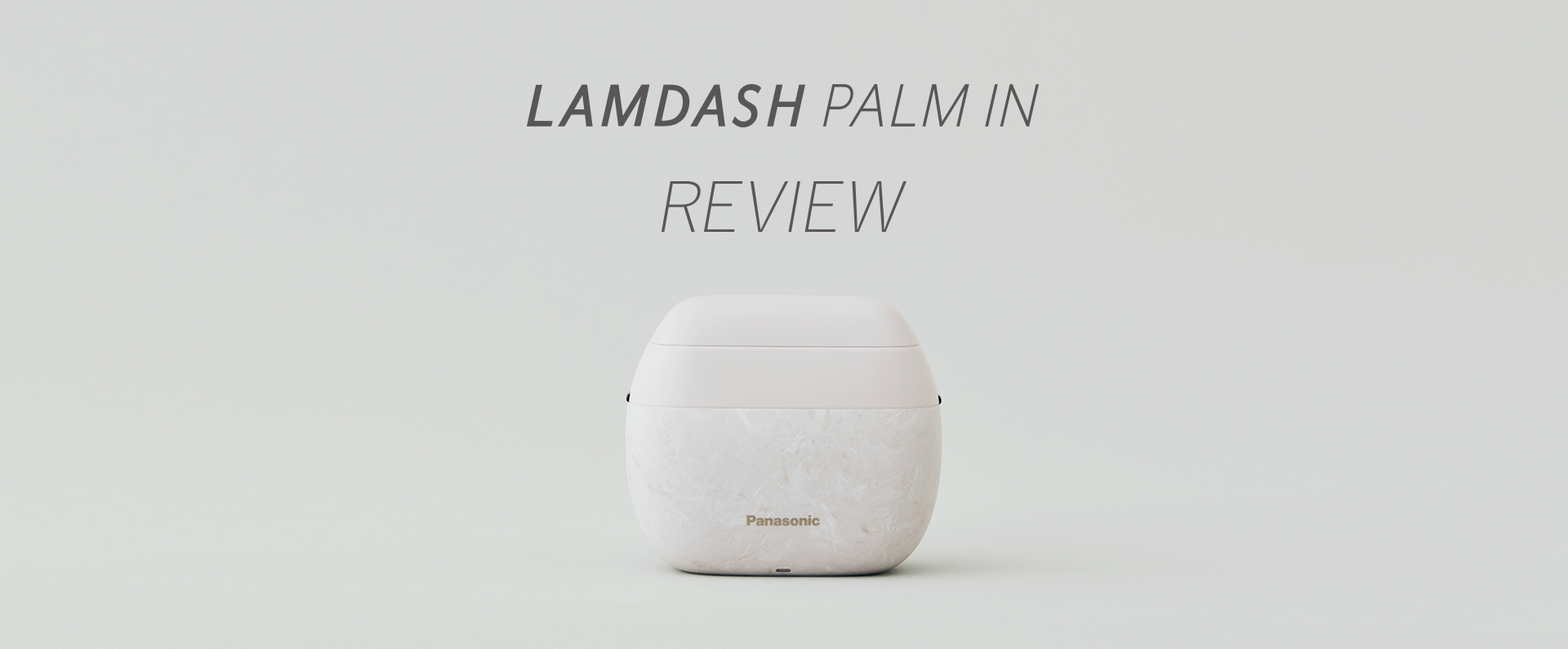 LAMDASH PALM IN REVIEW